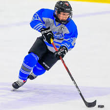 Image result for Sheffield Scimitars