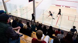 Image result for Addlestone Squash Leagues