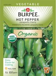 Afbeeldingsresultaat voor jalapeno early hot pepper