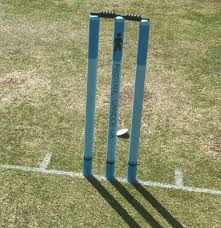 Image result for Oulton Park Cricket Club