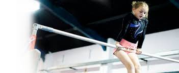 Image result for Northern Gymnastics Club CIC