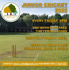 Image result for Wood Street Village Cricket Club