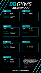 Image result for Cherrywood Badminton Club