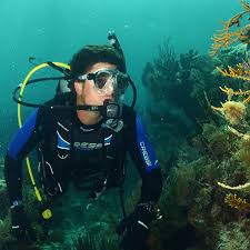 Image result for Plymouth Aquanauts