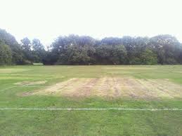 Image result for Frimley Green Football Club