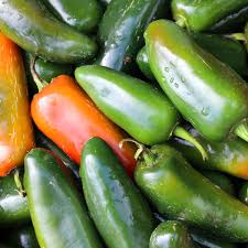 Afbeeldingsresultaat voor jalapeno early hot pepper