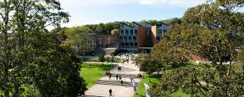 Image result for University Of Sussex