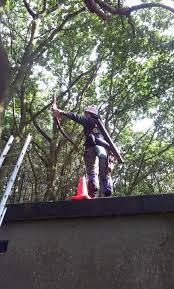 Image result for Castle Bowmen Archery Club