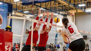 Image result for York University Netball Club