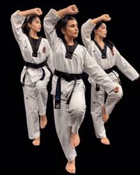 Image result for New Milton Taekwondo Club