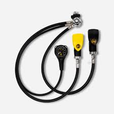 Image result for Headstream Divers