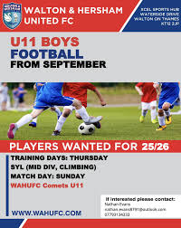 Image result for Walton & Hersham Football Club