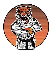 Image result for Twyford Higashi Karate Club