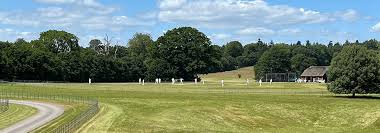 Image result for Hadlow Cricket Club