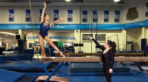 Image result for Breckland Forest Gymnastics Club 2004