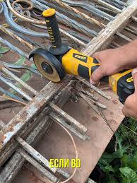 Картинки по запросу белку зажевало в диск