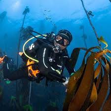 Image result for Scuba Fun