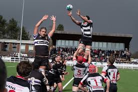 Image result for Harpenden Rugby Football Club