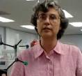Dr. Cindy Lee- Environmental