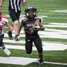 Image result for Tongham Boys Under 9`s Football Club