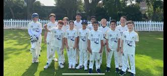 Image result for Chingford Cricket Club