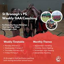 Image result for St Bronagh`s Gaa