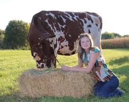 「アリス・ルイーズ・オブ・ナヴァール」の画像検索結果