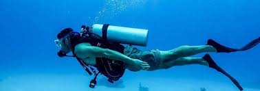 Image result for Guildford British Sub Aqua Club