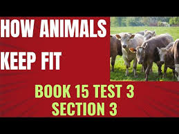 Image result for Keepfit Section