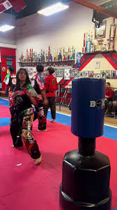 Image result for Vipers Thai/Kickboxing School