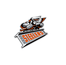 Image result for Sheffield Steelers