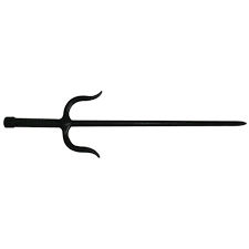 Image result for Sai Martial Arts