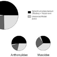 Attēlu rezultāti vaicājumam “Splachnum ampullaceum sporophyte”
