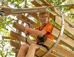 Image result for Go Ape! Whinlatter