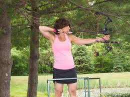 Image result for Guildford Archery Club