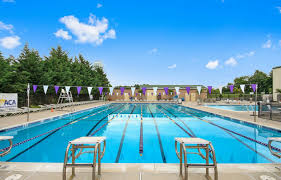 Image result for Belgrave Swimming Club