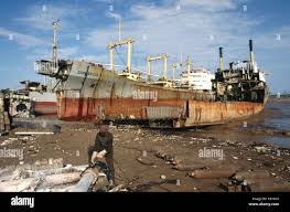 Image result for alang