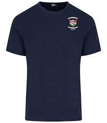 Image result for Cwmafan Football Club