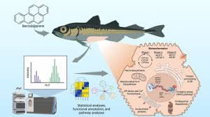 Image result for Boreogadus saida