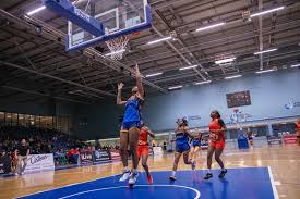 Image result for Worcester Wolves Basketball Club