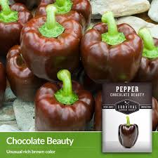 Afbeeldingsresultaat voor chocolate beauty sweet pepper