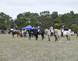 Image result for Lakes Riding Club