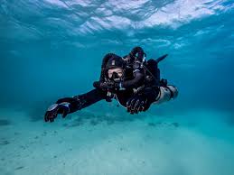Image result for Headstream Divers