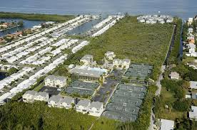 Image result for Cedars Badminton Club