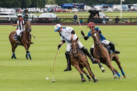 Image result for Woolmers Park Polo Club