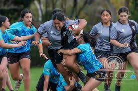 Image result for St Mary's Old Boys Rugby Union Football Club