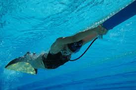Image result for Swansea Finswimming Club