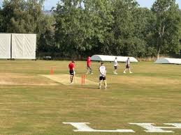 Image result for Vale Cricket Club