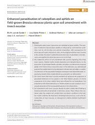 Attēlu rezultāti vaicājumam “Mamestra brassicae exuvia”