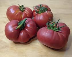 Afbeeldingsresultaat voor 1884 purple tomato